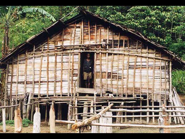 Cultural Concepts of the Grand Valley Dani
